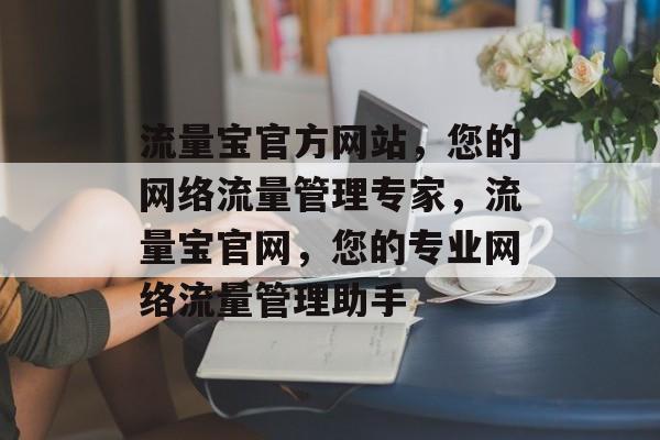 流量宝官方网站，您的网络流量管理专家，流量宝官网，您的专业网络流量管理助手
