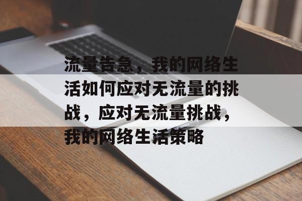 流量告急，我的网络生活如何应对无流量的挑战，应对无流量挑战，我的网络生活策略