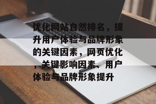 优化网站自然排名，提升用户体验与品牌形象的关键因素，网页优化，关键影响因素、用户体验与品牌形象提升