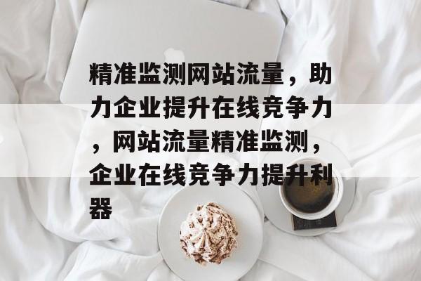 精准监测网站流量，助力企业提升在线竞争力，网站流量精准监测，企业在线竞争力提升利器