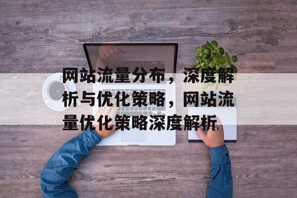 网站流量分布，深度解析与优化策略，网站流量优化策略深度解析