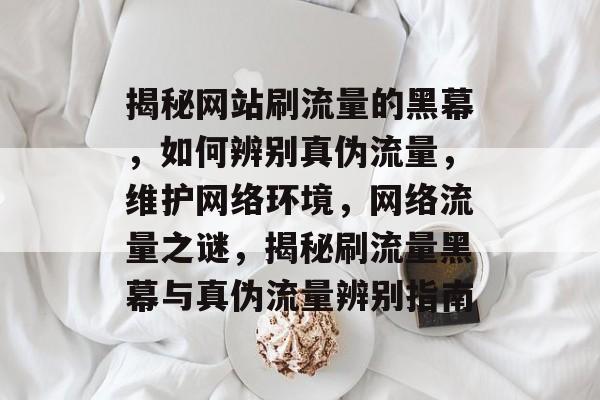 揭秘网站刷流量的黑幕，如何辨别真伪流量，维护网络环境，网络流量之谜，揭秘刷流量黑幕与真伪流量辨别指南