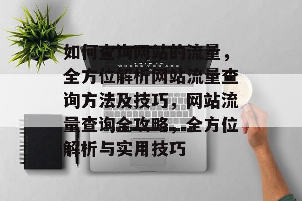 如何查询网站的流量，全方位解析网站流量查询方法及技巧，网站流量查询全攻略，全方位解析与实用技巧