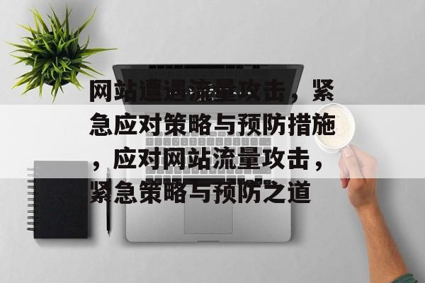 网站遭遇流量攻击，紧急应对策略与预防措施，应对网站流量攻击，紧急策略与预防之道