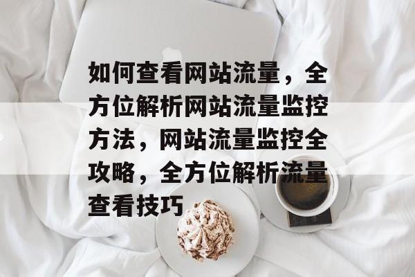 如何查看网站流量，全方位解析网站流量监控方法，网站流量监控全攻略，全方位解析流量查看技巧