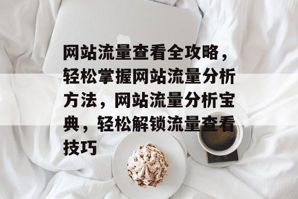 网站流量查看全攻略，轻松掌握网站流量分析方法，网站流量分析宝典，轻松解锁流量查看技巧