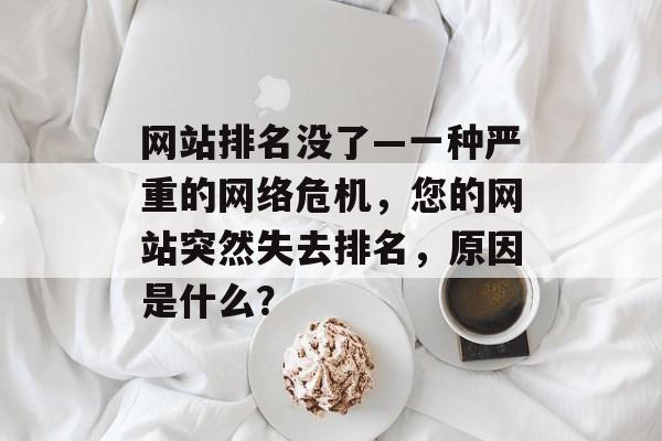 网站排名没了—一种严重的网络危机，您的网站突然失去排名，原因是什么？