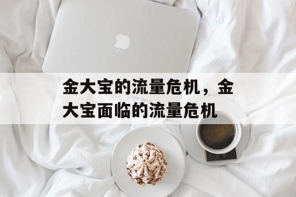 金大宝的流量危机，金大宝面临的流量危机