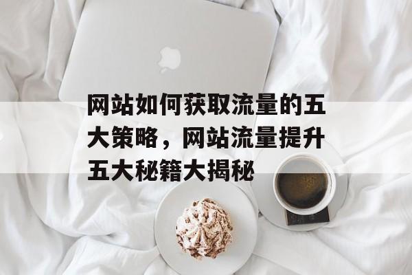 网站如何获取流量的五大策略，网站流量提升五大秘籍大揭秘