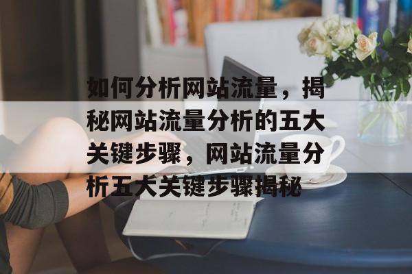 如何分析网站流量，揭秘网站流量分析的五大关键步骤，网站流量分析五大关键步骤揭秘