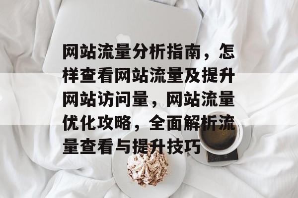 网站流量分析指南，怎样查看网站流量及提升网站访问量，网站流量优化攻略，全面解析流量查看与提升技巧