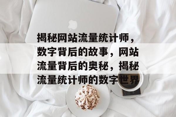 揭秘网站流量统计师，数字背后的故事，网站流量背后的奥秘，揭秘流量统计师的数字世界