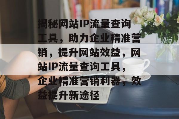 揭秘网站IP流量查询工具，助力企业精准营销，提升网站效益，网站IP流量查询工具，企业精准营销利器，效益提升新途径