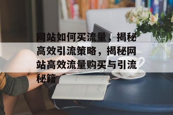 网站如何买流量，揭秘高效引流策略，揭秘网站高效流量购买与引流秘籍