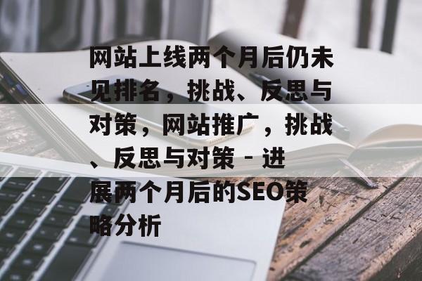 网站上线两个月后仍未见排名，挑战、反思与对策，网站推广，挑战、反思与对策 - 进展两个月后的SEO策略分析