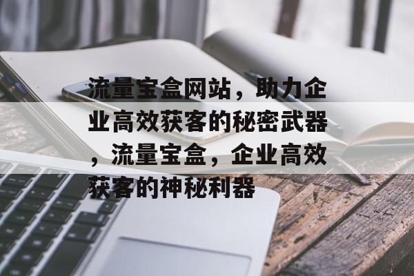 流量宝盒网站，助力企业高效获客的秘密武器，流量宝盒，企业高效获客的神秘利器