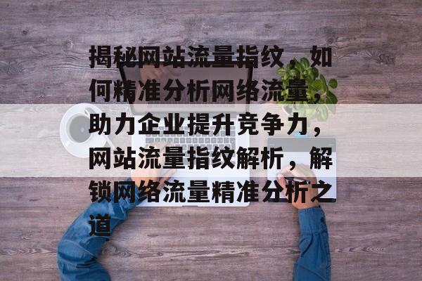 揭秘网站流量指纹，如何精准分析网络流量，助力企业提升竞争力，网站流量指纹解析，解锁网络流量精准分析之道
