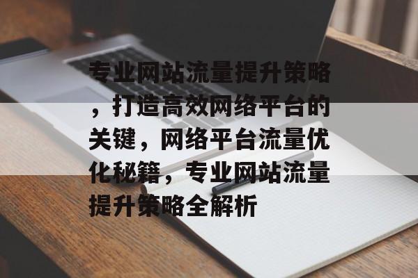专业网站流量提升策略，打造高效网络平台的关键，网络平台流量优化秘籍，专业网站流量提升策略全解析