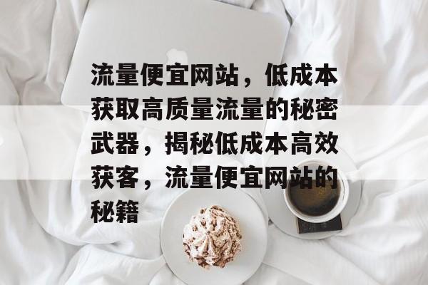 流量便宜网站，低成本获取高质量流量的秘密武器，揭秘低成本高效获客，流量便宜网站的秘籍