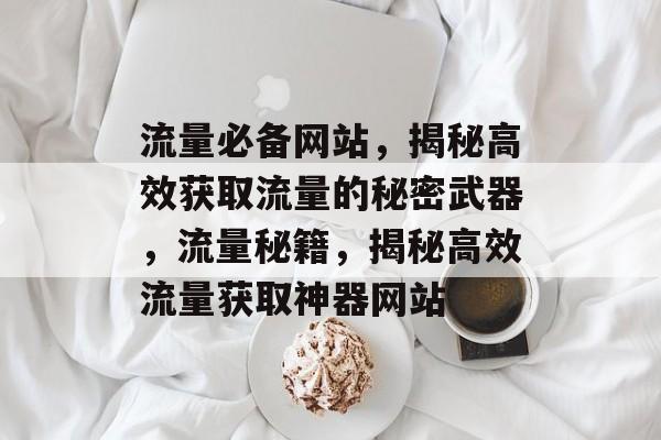流量必备网站，揭秘高效获取流量的秘密武器，流量秘籍，揭秘高效流量获取神器网站