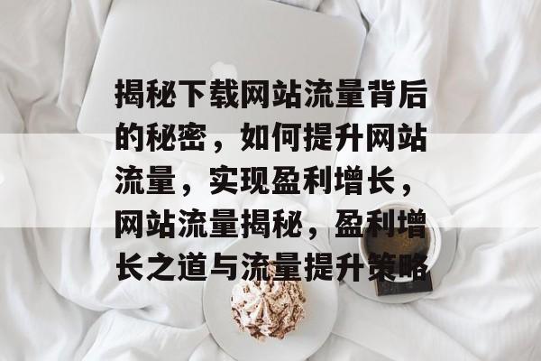 揭秘下载网站流量背后的秘密，如何提升网站流量，实现盈利增长，网站流量揭秘，盈利增长之道与流量提升策略