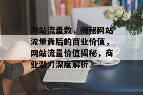 网站流量数，揭秘网站流量背后的商业价值，网站流量价值揭秘，商业潜力深度解析