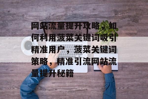 网站流量提升攻略，如何利用菠菜关键词吸引精准用户，菠菜关键词策略，精准引流网站流量提升秘籍