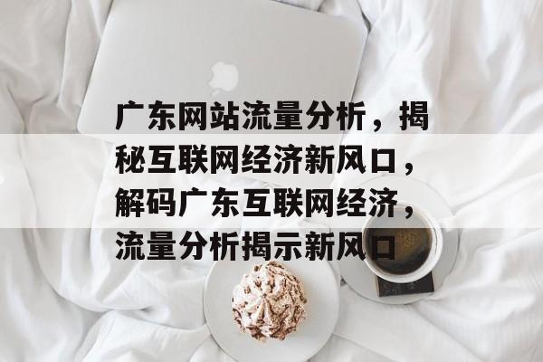 广东网站流量分析，揭秘互联网经济新风口，解码广东互联网经济，流量分析揭示新风口