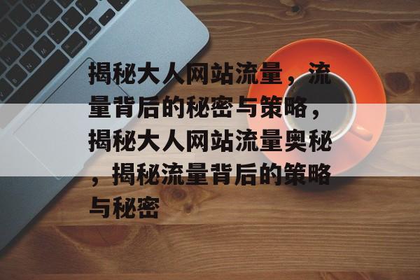 揭秘大人网站流量，流量背后的秘密与策略，揭秘大人网站流量奥秘，揭秘流量背后的策略与秘密