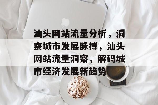 汕头网站流量分析，洞察城市发展脉搏，汕头网站流量洞察，解码城市经济发展新趋势
