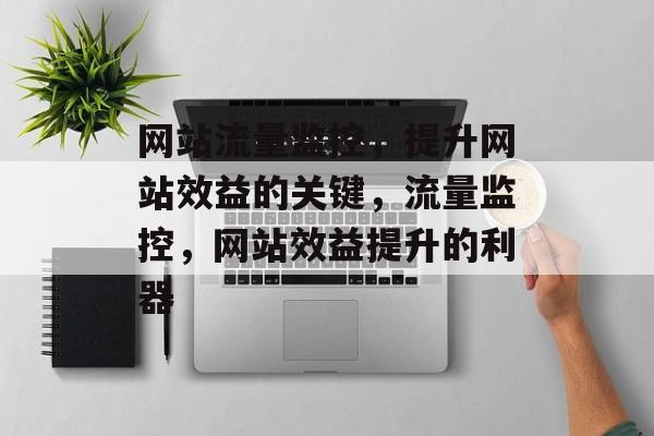 网站流量监控，提升网站效益的关键，流量监控，网站效益提升的利器
