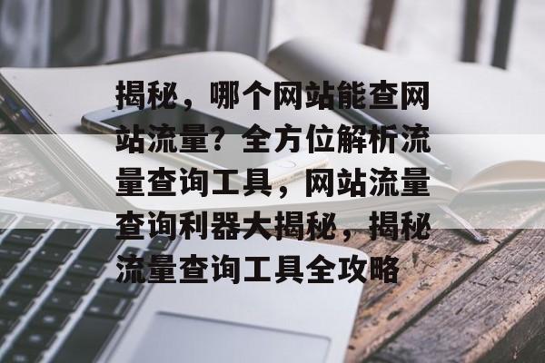 揭秘，哪个网站能查网站流量？全方位解析流量查询工具，网站流量查询利器大揭秘，揭秘流量查询工具全攻略