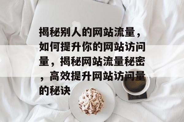 揭秘别人的网站流量，如何提升你的网站访问量，揭秘网站流量秘密，高效提升网站访问量的秘诀