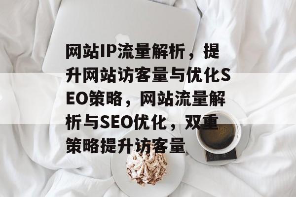 网站IP流量解析，提升网站访客量与优化SEO策略，网站流量解析与SEO优化，双重策略提升访客量
