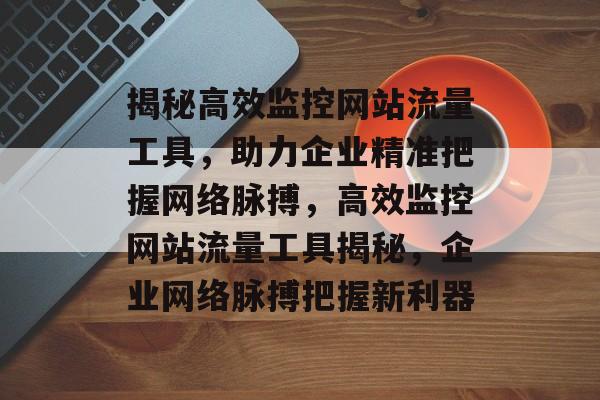 揭秘高效监控网站流量工具，助力企业精准把握网络脉搏，高效监控网站流量工具揭秘，企业网络脉搏把握新利器