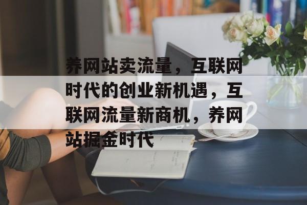 养网站卖流量，互联网时代的创业新机遇，互联网流量新商机，养网站掘金时代