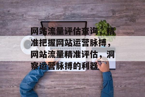 网站流量评估查询，精准把握网站运营脉搏，网站流量精准评估，洞察运营脉搏的利器