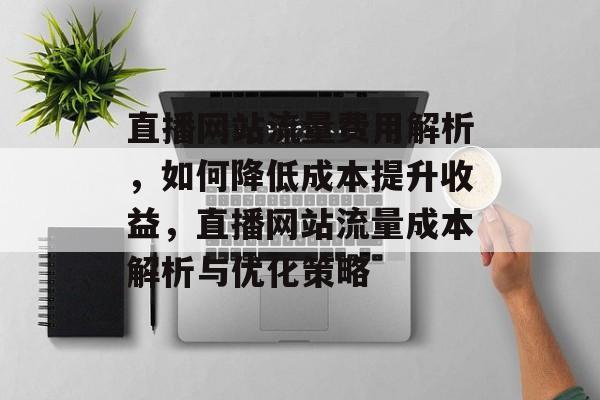 直播网站流量费用解析，如何降低成本提升收益，直播网站流量成本解析与优化策略