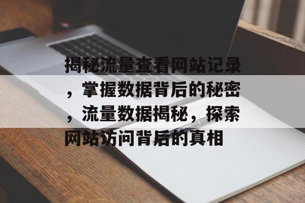 揭秘流量查看网站记录，掌握数据背后的秘密，流量数据揭秘，探索网站访问背后的真相
