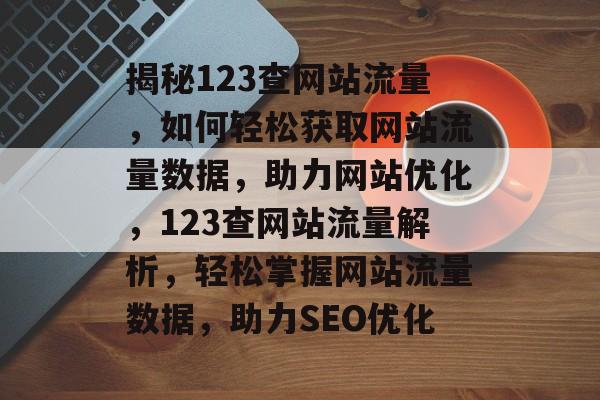 揭秘123查网站流量，如何轻松获取网站流量数据，助力网站优化，123查网站流量解析，轻松掌握网站流量数据，助力SEO优化
