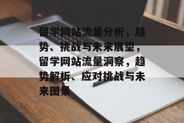留学网站流量分析，趋势、挑战与未来展望，留学网站流量洞察，趋势解析、应对挑战与未来图景