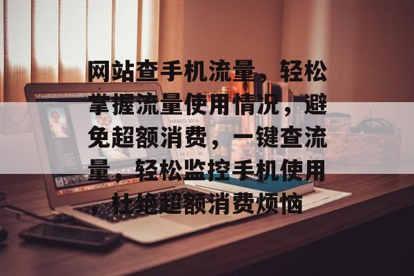 网站查手机流量，轻松掌握流量使用情况，避免超额消费，一键查流量，轻松监控手机使用，杜绝超额消费烦恼