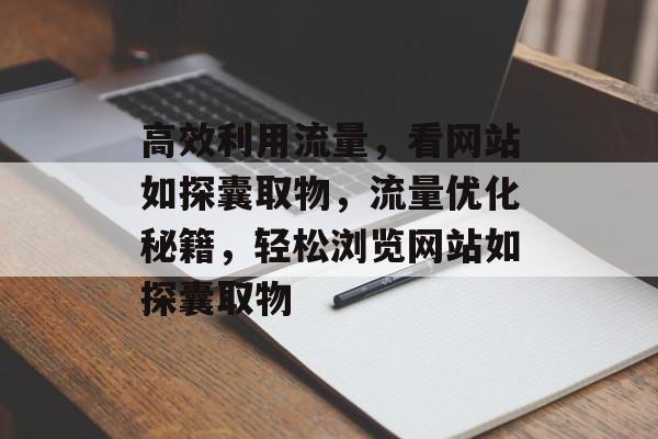 高效利用流量，看网站如探囊取物，流量优化秘籍，轻松浏览网站如探囊取物