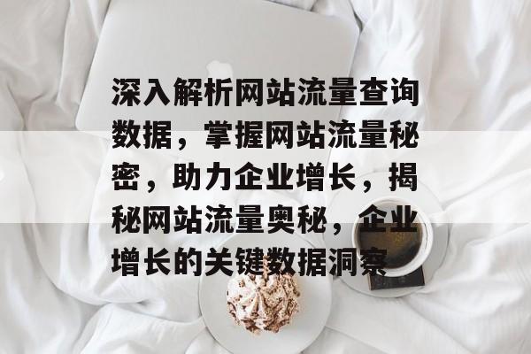 深入解析网站流量查询数据，掌握网站流量秘密，助力企业增长，揭秘网站流量奥秘，企业增长的关键数据洞察