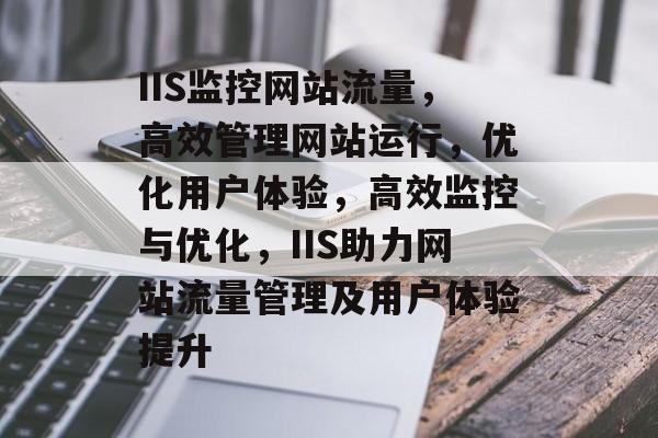IIS监控网站流量，高效管理网站运行，优化用户体验，高效监控与优化，IIS助力网站流量管理及用户体验提升