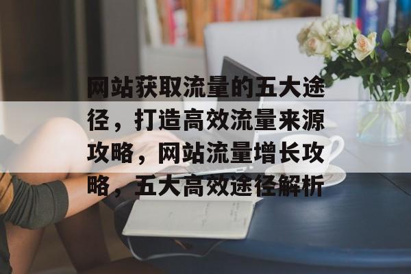 网站获取流量的五大途径，打造高效流量来源攻略，网站流量增长攻略，五大高效途径解析