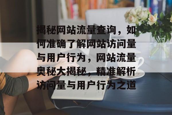揭秘网站流量查询，如何准确了解网站访问量与用户行为，网站流量奥秘大揭秘，精准解析访问量与用户行为之道