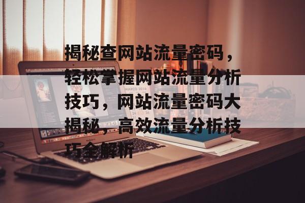 揭秘查网站流量密码，轻松掌握网站流量分析技巧，网站流量密码大揭秘，高效流量分析技巧全解析