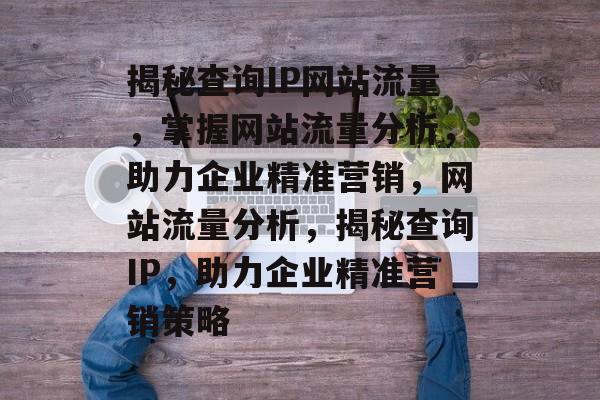 揭秘查询IP网站流量，掌握网站流量分析，助力企业精准营销，网站流量分析，揭秘查询IP，助力企业精准营销策略