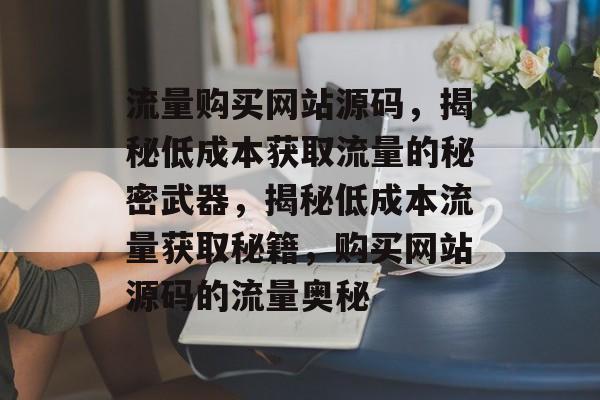 流量购买网站源码，揭秘低成本获取流量的秘密武器，揭秘低成本流量获取秘籍，购买网站源码的流量奥秘